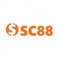 ncvnsc88net