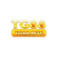 tg88wtf