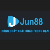 vnjun88