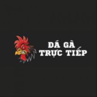 dagatructiep247