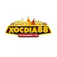 xocdia88bizcom