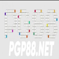 pgp88netvn