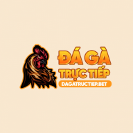 dagatructiepbetvn