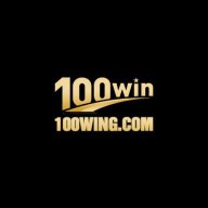 100wingcom