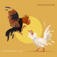 ThomohomnayComedyhome