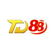 td88services