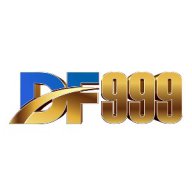 vndf999online