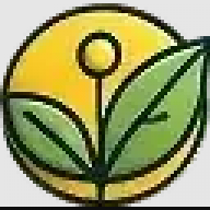 mrnaturallistic