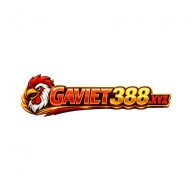 gaviet388