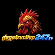 dagatructiep247tv1